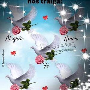 Meet your Posher, Angelica